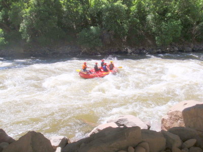 Rafters.